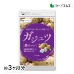 サプリ サプリメント ヘルス 美容 ダイエットをマルチにサポート ガジュツ　約3ヵ月分 送料無料 サプリ サプリメント ダイエット