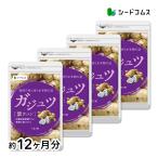 サプリ サプリメント ヘルス 美容 ダイエットをマルチにサポート ガジュツ 約12ヵ月分 約12ヵ月分 サプリ