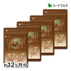 ショッピングサプリ サプリ サプリメント サラシア BIGサイズ約1年分 送料無料 サプリメント サプリ ダイエット サラシア茶 油 糖分 油分 炭水化物 ケーキ ダイエット