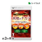 サプリ サプリメント トナカイの角 マカ 高麗人参などパワー系素材7種配合　大地のチカラ　約3ヵ月分