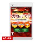 サプリ サプリメント トナカイの角 マカ 高麗人参などパワー系素材7種配合　大地のチカラ　約1ヵ月分　トナカイの角 マカ 高麗人参 田七人参