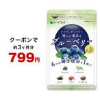 サプリ サプリメント ブルーベリー 約3ヵ月分 アントシアニン ビルベリー