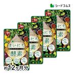 450種類の野菜 野草 果実 海藻 キノコ 豆類を使用 　まいにち酵素 約12ヵ月分  送料無料 酵素サプリ