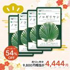 ショッピングダイエット 【福袋2026】ノコギリヤシ 約12ヵ月分　送料無料　サプリ　サプリメント ダイエット