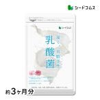 ショッピングサプリ サプリ サプリメント 乳酸菌 サプリ 有胞子性乳酸菌ソフトカプセル 約3ヵ月分 ダイエット