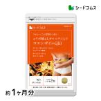 サプリ サプリメント コエンザイムQ10　アルファリポ酸 L-カルニチン＋葉酸 約1ヵ月分 ダイエット