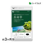  supplement дополнение Energie bejitabru длина жизнь .( фукоидан * хлорелла входить ) soft Capsule модель примерно 3 месяцев минут supplement дополнение 