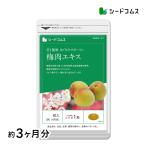 サプリ サプリメント 紀州産南高梅を厳選使用　梅肉エキス　約3ヵ月分　サプリ　サプリメント ダイエット