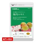 サプリ サプリメント 紀州産南高梅を厳選使用　梅肉エキス　約1ヵ月分　クエン酸 熱中症 熱中症対策 ダイエット