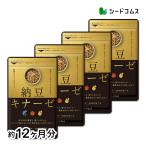 リニューアル新発売 サプリ サプリメント 納豆キナーゼ 約12ヵ月分 ナットウキナーゼ DHA EPA 納豆なっとう ダイエット