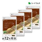 サプリ サプリメント 国産ごぼう入りヘム鉄 葉酸配合 約12ヵ月分 サプリ サプリメント