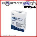 【1箱10枚】3Q N95マスク 立体型 SQ100G 10枚入 大和工場 ヤマト工場 NIOSH