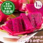 ドラゴンフルーツ 赤(インパクトルビー) 約1kg(2〜4玉入) 沖縄県産 生産者直送 新品種 農薬不使用 化学肥料不使用 除草剤不使用 送料無料