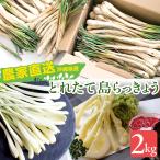  Okinawa префектура производство остров rakkyou 2kg сырой ( земля имеется ) бесплатная доставка 