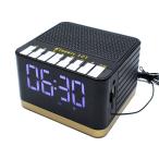 Bearmax Classic фортепьяно шедевр плеер * часы Classic 101 PAC-101 FM радио часы сигнализация Bear Max медведь The kieim