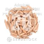 [ семена ]ateniu Muta isoko тигр namPBN Adenium thai socotranum PBN 20 шарик l. корень растения начинающий предназначенный 