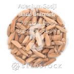 [ семена ]ateniumgojix Jade браслет Adenium Godji x Jade Bracelet 5 шарик l. корень растения ko- Dex песок .