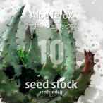 [ семена ] алоэ fe блокировка sAloe ferox 10 шарик l суккулентное растение алоэ .. лекарство для реальный сырой 