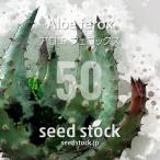 [種子]アロエフェロックスAloe...