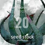 [ семена ] алоэ mi Cross tigmaAloe microstigma 20 шарик l суккулентное растение алоэ прекрасный . пункт . лист реальный сырой 