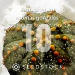 [ семена ] Astro fitsumgon The отсутствует 10 шарик lSEEDSTOCK