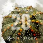 [ семена ] Astro fitsumgon The отсутствует 20 шарик lSEEDSTOCK