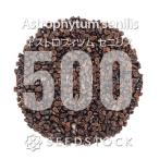 [種子] アストロフィツム セニリス 500粒｜SEEDSTOCK