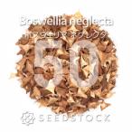 [ семена ] Boss we задний ne серый ktaBoswellia neglecta 50 шарик l. дерево . корень растения ko- Dex .. редкий реальный сырой 
