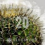 [ семена ]ekinokak тасуки n автомобиль chi20 шарик lSEEDSTOCK