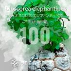 商品画像2