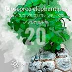商品画像2