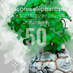 商品画像3