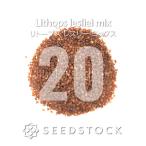 [ семена ]li тауп s отсутствует Lee MIX Lithops lesliei mix 20 шарик lmesen суккулентное растение сырой .. драгоценнный камень фиолетовый . реальный сырой 