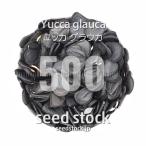 [ семена ] юкка glaukaYucca glauca 500 шарик l Driger ten выдерживающий холод . реальный сырой 