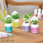  культивирование комплект салон культивирование комплект базилик Mini бутылка трава s Apple мята ромашка лесная земляника трава комплект еда . огород еда ...