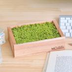  культивирование комплект салон мох мокрый Moss террариум мох комплект GD-670 садоводство koke оценка .. поддон . ручная работа интерьер модный взрослый .