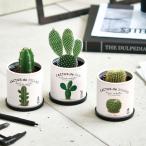  культивирование комплект салон кактус CACTUS de CACTUS вид симпатичный модный зеленый интерьер украшение body . маленький подарок ... час растения 