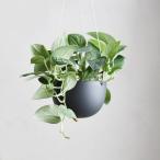 KINTO キントー プランター 植木鉢 プラントポット 201_140mm 14cm 鉢植え ガーデンポット フラワーポット おしゃれ鉢