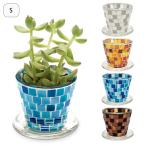  посадочная машина модный стеклянный цветок pot блюдце имеется цветочный горшок mo The ik стекло план to pot S план to pot горшок дыра есть дренаж дыра садоводство 