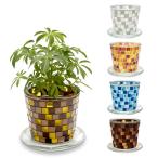  посадочная машина модный стеклянный цветок pot блюдце имеется цветочный горшок mo The ik стекло план to pot L план to pot горшок дыра есть дренаж дыра садоводство 