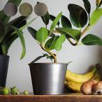  посадочная машина модный круг цветочный горшок декоративное растение суккулентное растение кактус ваза горшок покрытие диаметр 12x высота 9.5cm железный план to pot растения для pot цветок 