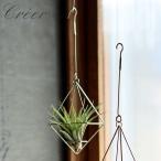  орнамент подвешивание ниже diamond воздушный растения украшение diamond орнамент in bloom in Bloom железный висячий модный дисплей 