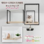 MYZOO мой Zoo AVENUE avenue кошка подножка кошка walk стена установка леса потолок подвешивание ниже модный салон интерьер 100cm