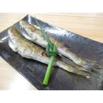 北海道 浜中産 干し氷下魚（コマイ） 500g(10〜12尾）入り【1箱】