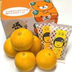  подарок Ehime префектура производство Kawauchi ... клубень ...(.... клубень .* yuzu клубень .). комплект 