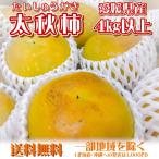 Yahoo! Yahoo!ショッピング(ヤフー ショッピング)茶箱 愛媛県産 太秋柿 4kg以上