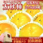 Yahoo! Yahoo!ショッピング(ヤフー ショッピング)化粧箱 愛媛県産 太秋柿 　約2.5kg 送料無料（一部地域を除く）