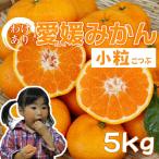  маленький шарик Ehime мандарин примерно 5kg есть перевод Ehime префектура производство . сырой Hokkaido * Okinawa доставка отдельно .1000 иен 