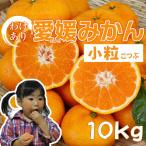  маленький шарик Ehime мандарин примерно 10kg (5kg×2 коробка ) есть перевод Ehime префектура производство . сырой Hokkaido * Okinawa доставка отдельно .1000 иен 