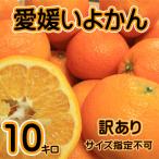 予約 訳あり 愛媛いよかん 約10kg　4L〜Sサイズ不選別 伊予柑 愛媛県特産品 1月中旬以降発送開始予定